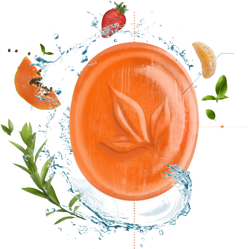 72cbd74b3d9df8c3a18c-removebg-preview