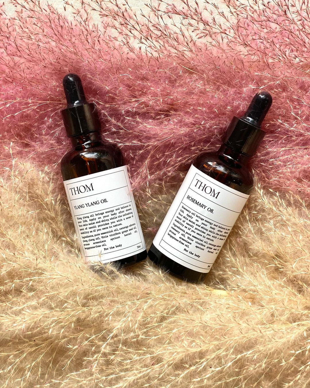 323807971_1646195459151429_1268408320999735486_n