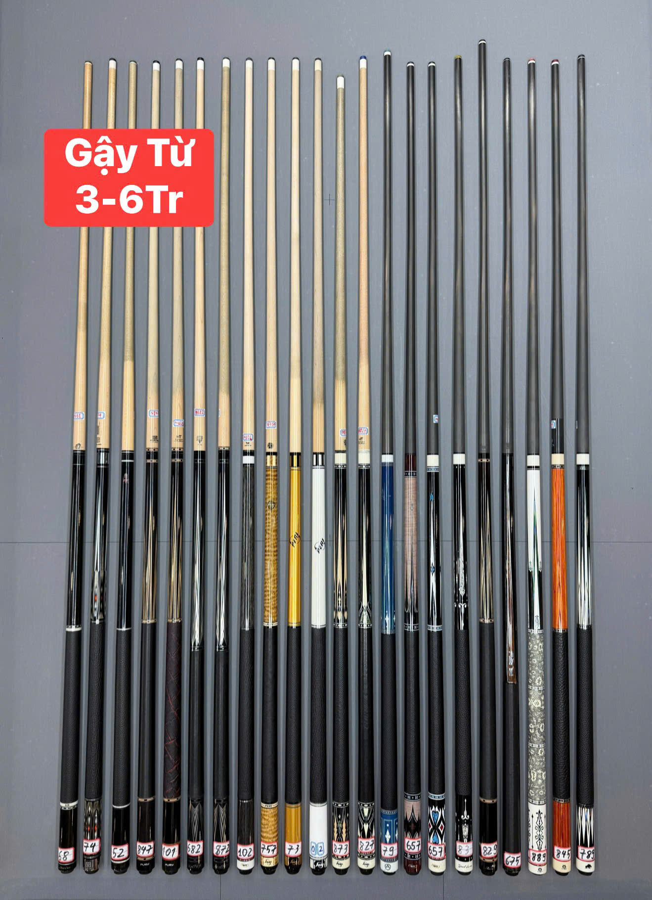 z7747385174301_41a0d581ef6011884e92c78f731e7675